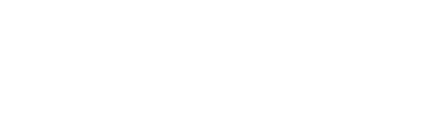 Perplexity