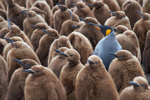The Power of Branding: Top 5 Benefits of Strong Branding